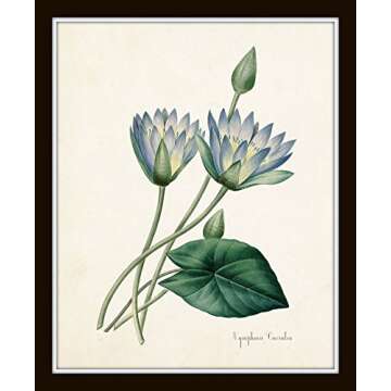 Botanical Print Set No. 20, Botanical Prints, Wall Art Prints, Vintage Wall Art, Vintage Wall Decor, Vintage Art Prints, 8x10 Prints, Botanical Wall Decor, Vintage Botanical Prints - Unframed