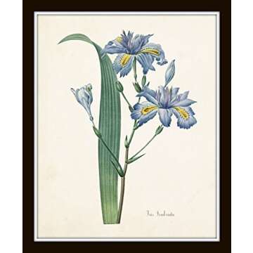 Botanical Print Set No. 20, Botanical Prints, Wall Art Prints, Vintage Wall Art, Vintage Wall Decor, Vintage Art Prints, 8x10 Prints, Botanical Wall Decor, Vintage Botanical Prints - Unframed