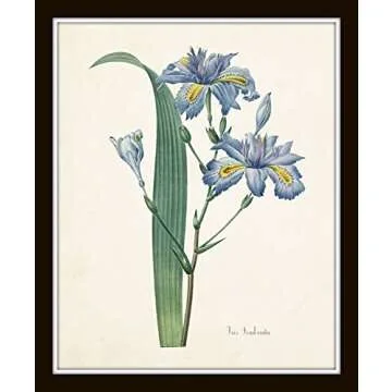 Botanical Print Set No. 20, Botanical Prints, Wall Art Prints, Vintage Wall Art, Vintage Wall Decor, Vintage Art Prints, 8x10 Prints, Botanical Wall Decor, Vintage Botanical Prints - Unframed