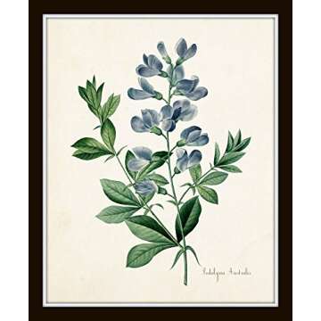 Botanical Print Set No. 20, Botanical Prints, Wall Art Prints, Vintage Wall Art, Vintage Wall Decor, Vintage Art Prints, 8x10 Prints, Botanical Wall Decor, Vintage Botanical Prints - Unframed