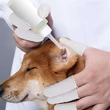 tifanso Finger Cots Disposable, Medium Finger Thumb Gloves Protectors, Sleeves Covers Protection for Fingertips (Approx.210 PCS)