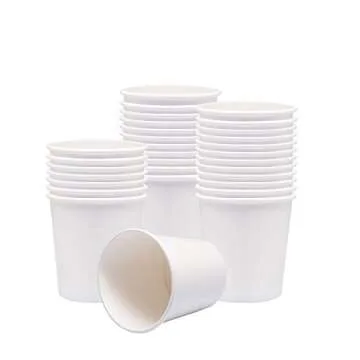 Belinlen 40 Count 16oz Frozen Dessert Containers with Lids