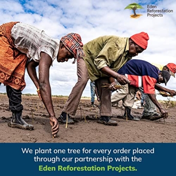 Eversprout Cobweb Duster - Lightweight with Extension Pole