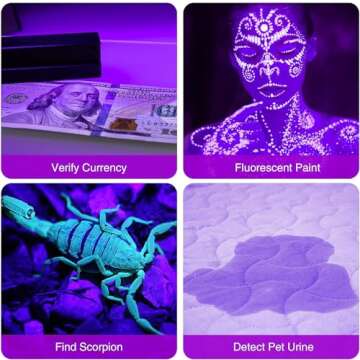 COSOOS 2 Pack UV Flashlight, 12 LED Handheld Blacklight Flashlight 395nm Mini Light Torch Detector for Dog Pet Urine Stains, Bed Bugs and Scorpions. (Batteries not Included)