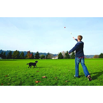 Sport Ball Launcher - Hands-Free Fetching Fun