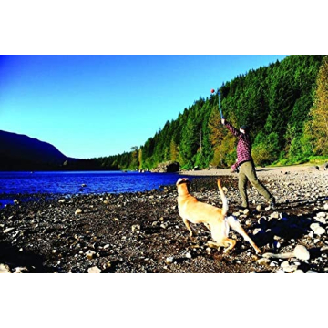 Sport Ball Launcher - Hands-Free Fetching Fun