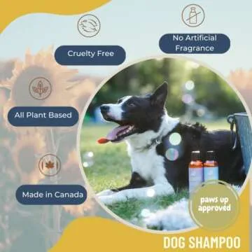 Black Sheep Organics Lavender & Geranium Shampoo for Itchy Dogs with Coconut Oil and Olive Oil- Gentle and Relaxing Natural Ingredients-Made in Canada