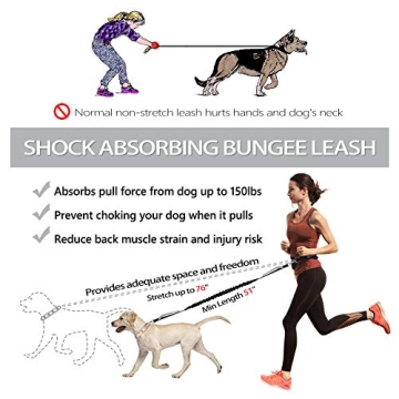Hands Free Dog Leash for Active Dog Owners