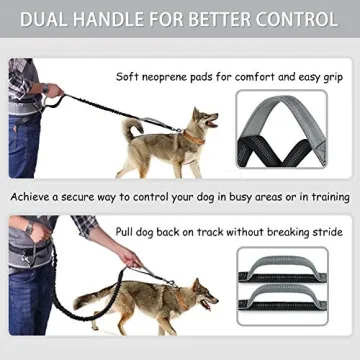 Hands Free Dog Leash for Active Dog Owners