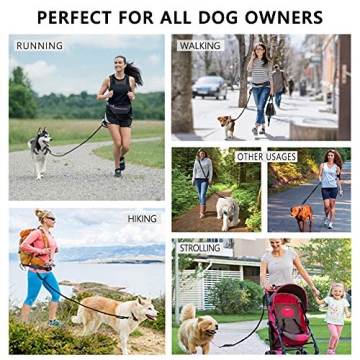 Hands Free Dog Leash for Active Dog Owners