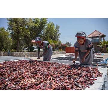 Brundo Spice's Imported Ethiopian Berbere Chili Pepper Blend (8 oz) | Authentic Berbere & All Natural East African Seasoning | Naturally Craft | No Preservatives | Made and Imported from Ethiopia | (8oz)