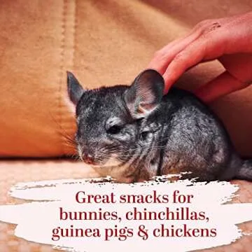 Dried Calendula Flowers - Edible Dried Marigold Flowers for Soap Making, Calendula Tea, Herb Infusions and Tinctures - Dried Flowers for Bath Salts - Calendula Officinalis 4 oz