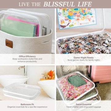 Bliss Bins - Chic Clear Storage Organizers for Every Need