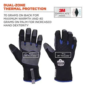 Ergodyne unisex adult Reinforced Thermal Waterproof Winter Work Gloves, Black, Large Pack of 1 US
