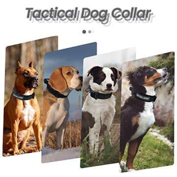 Tactical Dog Collar Adjustable Military Nylon Thick Dog Collars Heavy Duty Metal Buckle and Handle for Medium Large Dog