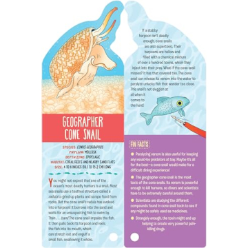 Explore Ocean Life with Fandex Kids: Ocean Facts Deck