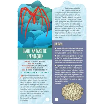 Explore Ocean Life with Fandex Kids: Ocean Facts Deck