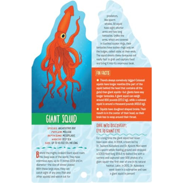 Explore Ocean Life with Fandex Kids: Ocean Facts Deck