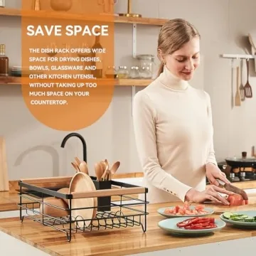 Stylish BRIAN & DANY Dish Drying Rack for Compact Kitchens