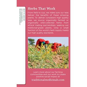 Traditional Medicinals Teas Organic Mother's Milk Herbal Tea, 32 Count