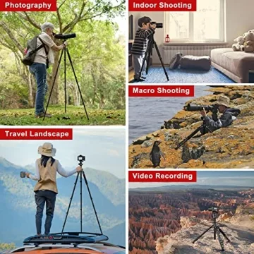 High-Performance 81" Tripod for All Cameras and Devices