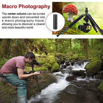 High-Performance 81" Tripod for All Cameras and Devices