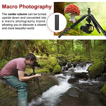 High-Performance 81" Tripod for All Cameras and Devices