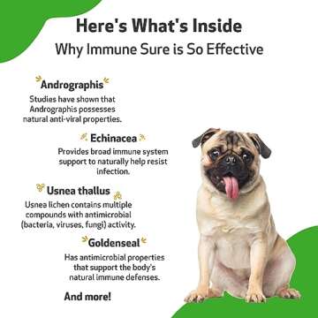 Pet Wellbeing Immune Sure for Dogs - Supports Normal Immune Defenses, Gut Flora Balance, Andrographis, Echinacea, Vitamin C, Zinc - Veterinarian-Formulated Herbal Supplement 2 oz (59 ml)
