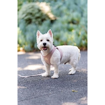 FuzzYard Step-In Dog Harness Stylish Soft Blush