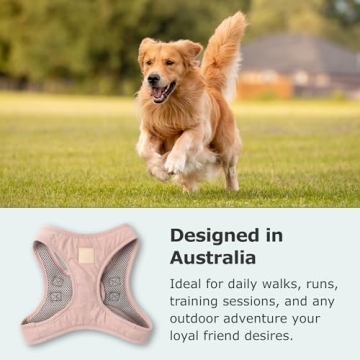 FuzzYard Step-In Dog Harness Stylish Soft Blush