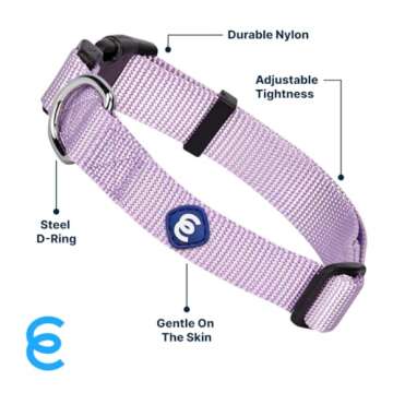 Blueberry Pet Essentials Small Dog Collar | Girl Dog Collars Fall | Female Dog Collar Small | Lavender Dog Collars for Small Dogs | Quick Release Dog Collar | Lavender Nylon Dog Collar