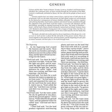 NIV Holy Bible Larger Print Paperback Ideal for All Readers