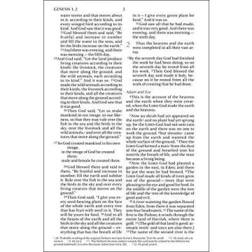 NIV Holy Bible Larger Print Paperback Ideal for All Readers