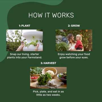 Lettuce Grow Farmstand Starter Kit + Seedlings | Large Hydroponic Growing System Kit | Self-Watering...