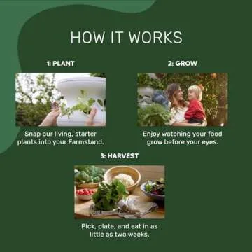 Lettuce Grow Farmstand Starter Kit + Seedlings | Large Hydroponic Growing System Kit | Self-Watering...