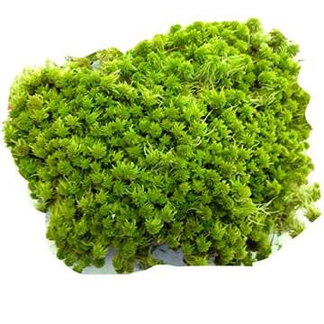 Tin Roof Treasure Super Sphagnum Moss 8"x10" Bag for Terrariums Orchids Reptiles Carnivorous Plants