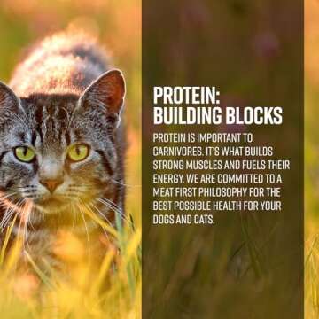 Essence AIR & Gamefowl CAT Recipe Dry CAT Food, 4LB Bag