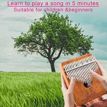 Beautiful Kalimba 21 Keys Thumb Piano for Everyone