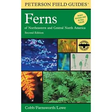Comprehensive Fern Identification Guide for All Enthusiasts