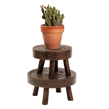 ANPHSIN Mini Wooden Stool Plant Stand Set for Succulents