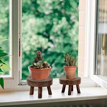 ANPHSIN Mini Wooden Stool Plant Stand Set for Succulents