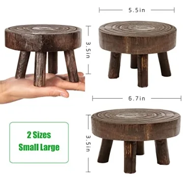 ANPHSIN Mini Wooden Stool Plant Stand Set for Succulents