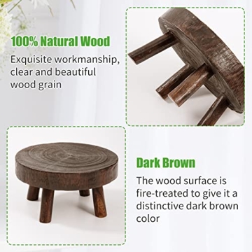 ANPHSIN Mini Wooden Stool Plant Stand Set for Succulents