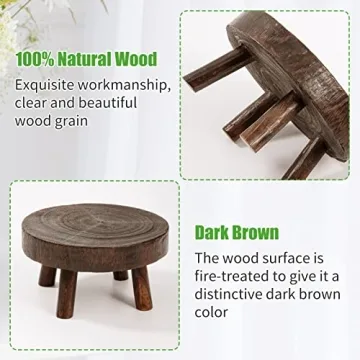 ANPHSIN Mini Wooden Stool Plant Stand Set for Succulents