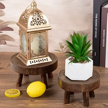 ANPHSIN Mini Wooden Stool Plant Stand Set for Succulents