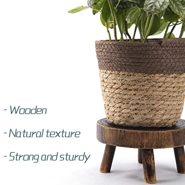 ANPHSIN Mini Wooden Stool Plant Stand Set for Succulents