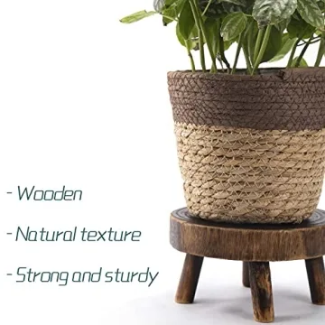 ANPHSIN Mini Wooden Stool Plant Stand Set for Succulents