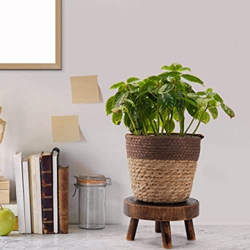 ANPHSIN Mini Wooden Stool Plant Stand Set for Succulents