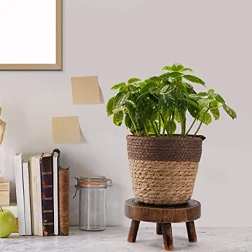 ANPHSIN Mini Wooden Stool Plant Stand Set for Succulents