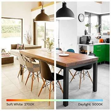 Amazon Basics Dusk to Dawn LED Bulb for Outdoor Use